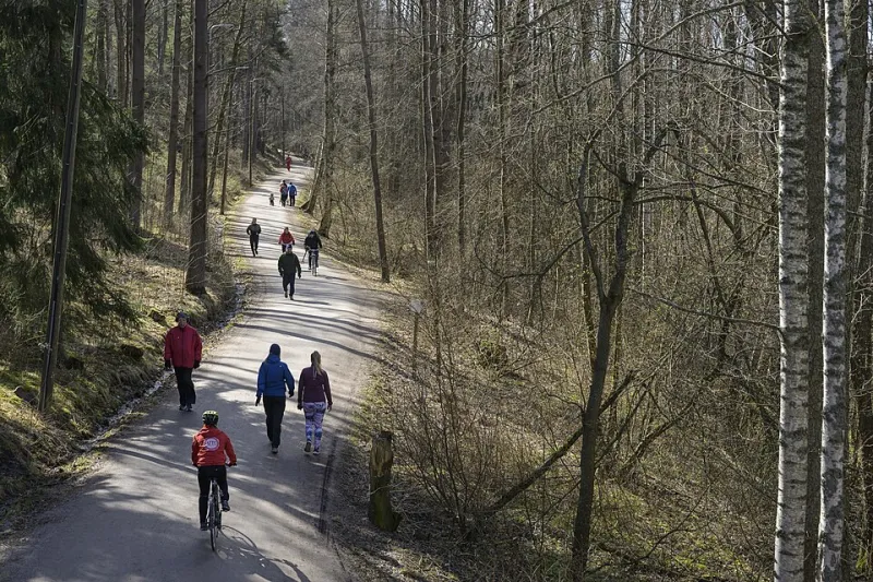 The January Gym Ecosystem: A Field Guide to Who's Still Coming in March